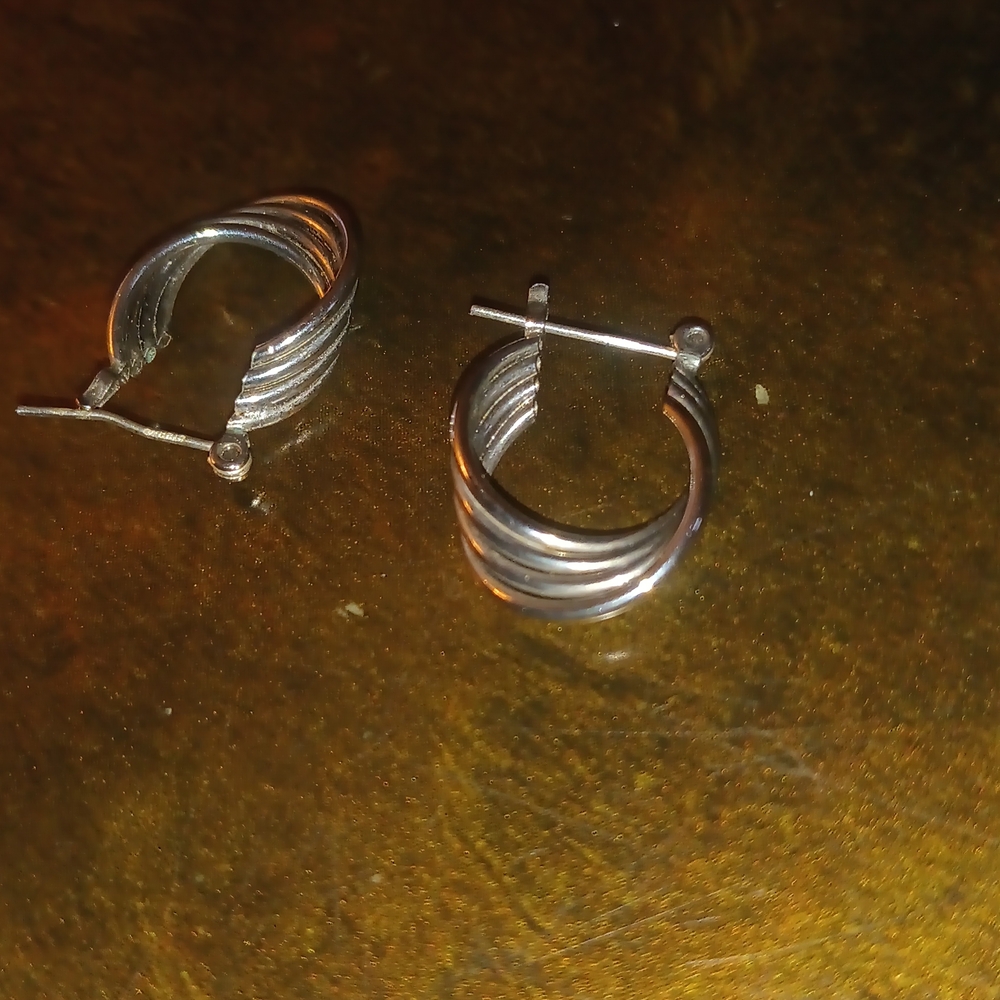 Elegant Silver Hoop Earrings